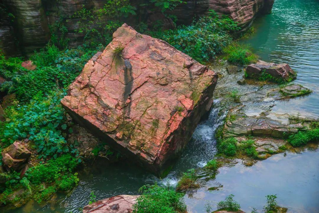 春雨直播app